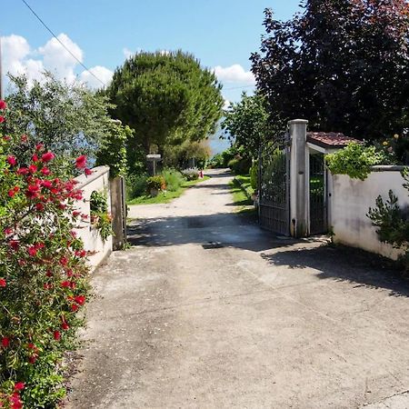 ArpinoLa Staccionata别墅 外观 照片