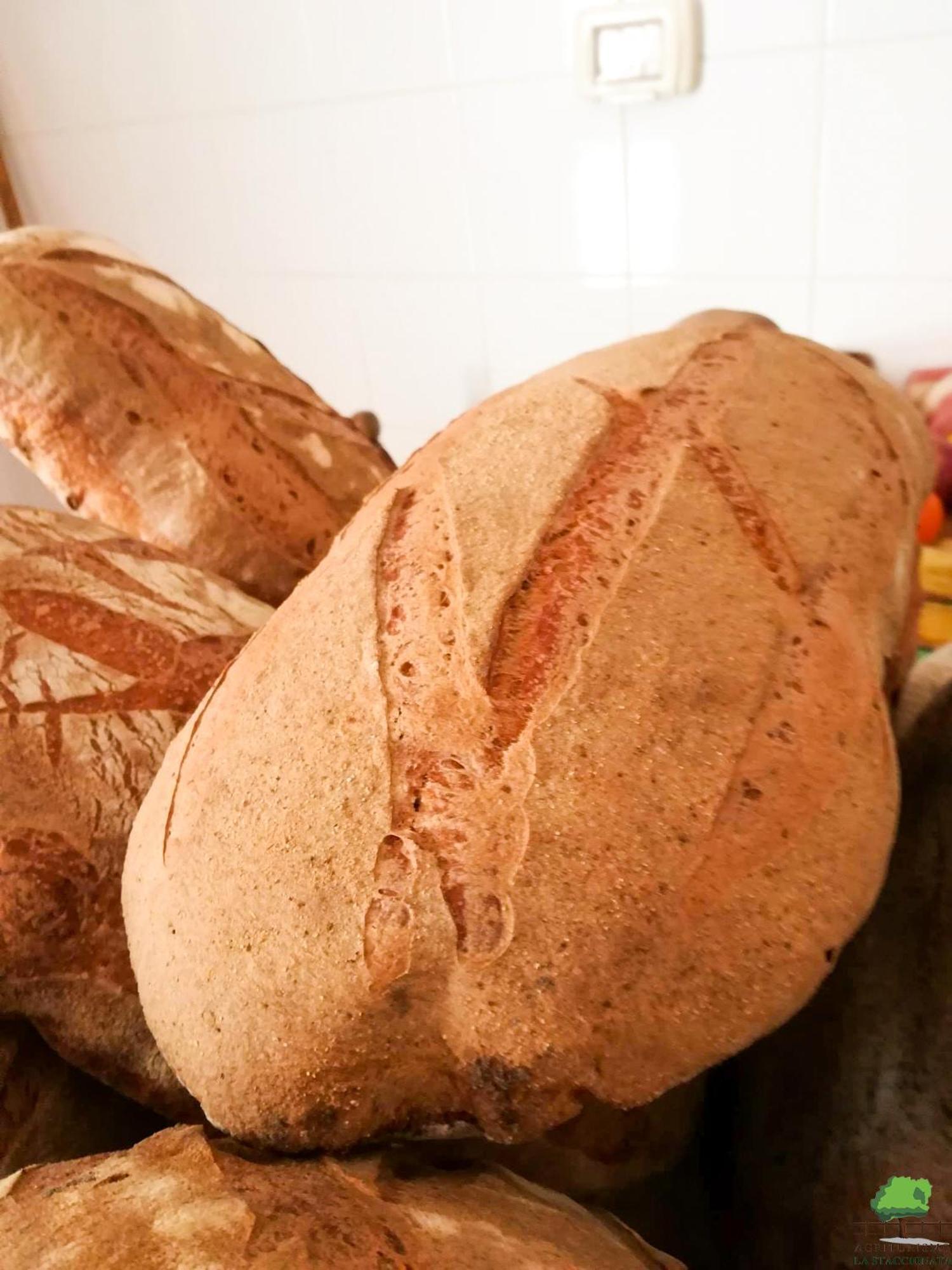 ArpinoLa Staccionata别墅 外观 照片